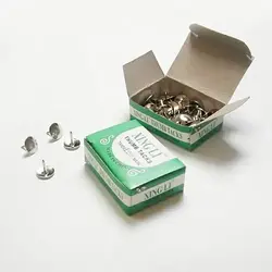 پونز معمولی