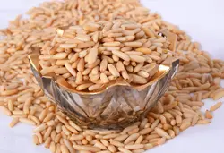 مغز چلغوز خام تازه (100 گرم)