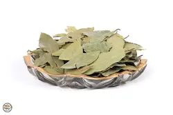 برگ بو بدون چوب (قیمت‌ارزان+ارسال‌فوری)| کشاورزنات