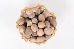 خرید جوز هندی اعلا (قیمت‌ارزان+ارسال‌رایگان)| کشاورزنات