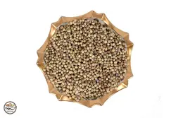 تخم گشنیز (100 گرم)