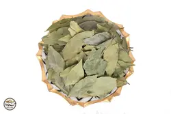 برگ بو بدون چوب (قیمت‌ارزان+ارسال‌فوری)| کشاورزنات