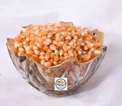 دانه ذرت ارگانیک سال 1401 (ارزان+ارسال‌فوری)| کشاورزنات