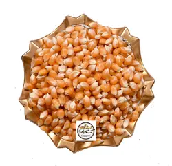 دانه ذرت ارگانیک سال 1401 (ارزان+ارسال‌فوری)| کشاورزنات