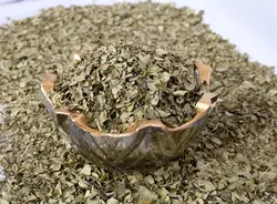 آویشن برگ پهن شیرازی (قیمت‌ارزان+ارسال‌فوری)| کشاورزنات