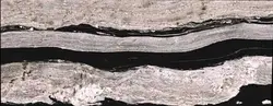 مارموکو-عرض 130-کوپاکابانا-Copacabana - کورین و کوارتز، گروه سنگ مصنوعی