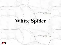 TSB-5میل-وایت اسپایدر-white spider - کورین و کوارتز، گروه سنگ مصنوعی