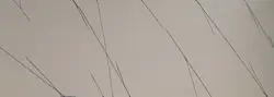 کورین استون-7میل-ST122-سفید رگه بلند مشکی - کورین و کوارتز، گروه سنگ مصنوعی