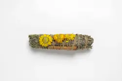 اسماج (عود گیاهی)