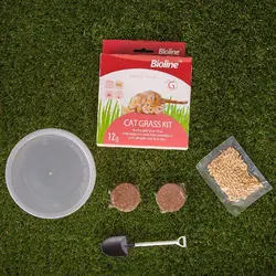 کیت علف گربه بیولاین - Bioline Cat Grass Kit