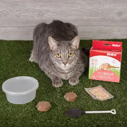 کیت علف گربه بیولاین - Bioline Cat Grass Kit