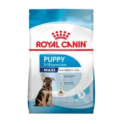 غذای توله سگ مکسی پاپی رویال کنین - Royal Canin Maxi Puppy