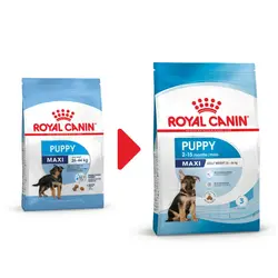 غذای توله سگ مکسی پاپی رویال کنین - Royal Canin Maxi Puppy