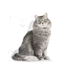 غذای خشک گربه سنسیبل رویال کنین - Royal Canin Sensible