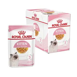 غذای پوچ کیتن ژله ای رویال کنین - Royal Canin Kitten
