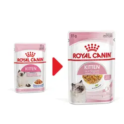 غذای پوچ کیتن ژله ای رویال کنین - Royal Canin Kitten