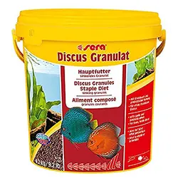 غذای گرانولی ماهی دیسکس سرا - Sera discus granulat