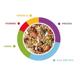 غذای طوطی سانان کوچک پادوان - Padovan GrandMix Parrocchetti