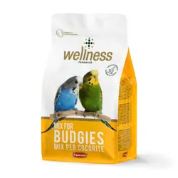 غذای سوپر پرمیوم مرغ عشق پادوان - Wellness Mix For Budgies