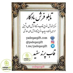 قاب تابلو فرش چوبی پرند سفید