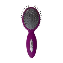 برس مسافرتی رمی