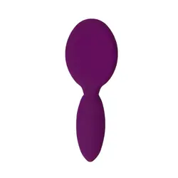 برس مسافرتی رمی