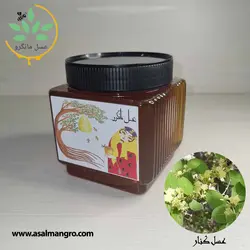 خرید عسل کنار طبیعی - با برگه آزمایش و ضمانت کتبی - مانگرو