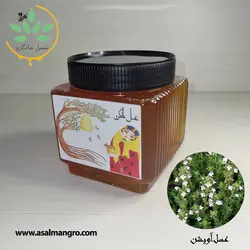 خرید عسل آویشن طبیعی - قیمت با برگه آزمایش و ضمانت کتبی - مانگرو