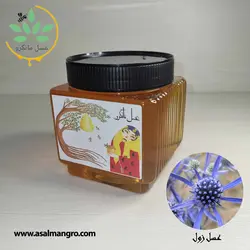 خرید عسل زول طبیعی - با برگه آزمایش و ضمانت کتبی - مانگرو