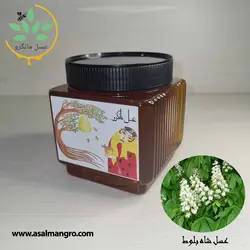 خرید عسل شاه بلوط طبیعی - با برگه آزمایش و ضمانت کتبی - مانگرو