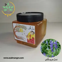 خرید عسل مریم گلی طبیعی - با برگه آزمایش و ضمانت کتبی -مانگرو