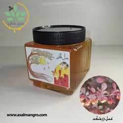 خرید عسل زرشک طبیعی - با برگه آزمایش و ضمانت کتبی - مانگرو