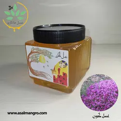 خرید عسل گون طبیعی - با برگه آزمایش و ضمانت کتبی - مانگرو