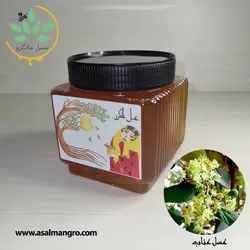 خرید عسل عناب طبیعی - با برگه آزمایش و ضمانت کتبی - مانگرو
