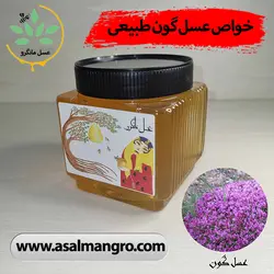 خواص عسل گون گز چیست؟ 10 فواید آن - مانگرو