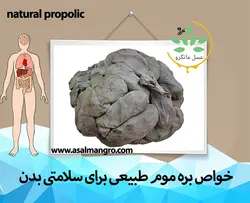 خواص بره موم چیست؟ 15 فواید آن - مانگرو