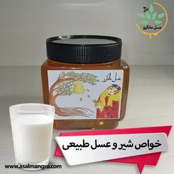 خواص شیر و عسل + 16 فواید و طریقه مصرف - مانگرو
