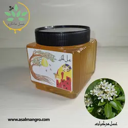 خرید عسل مرکبات (بهارنارنج) - با برگه آزمایش و ضمانت کتبی - مانگرو