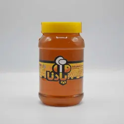 عسل کنار 1000 گرمی - گرید B