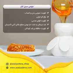 عسل کنار 500 گرمی - گرید A+