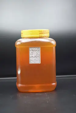 عسل آویشن 2850 گرم گرید A