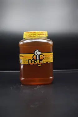 عسل چهل گیاه 2850 گرم گرید A