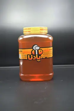 عسل سیاه دانه 2850 گرم گرید A+