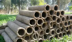 عسل کنار با موم 500 گرمی - گرید A+