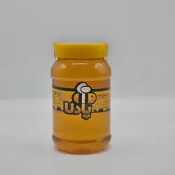 عسل گون پادنا 1000 گرمی