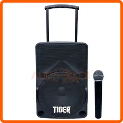 باند پرتابل 10 اینچ شارژی با میکروفن بیسیم  TIGER مدل EV10