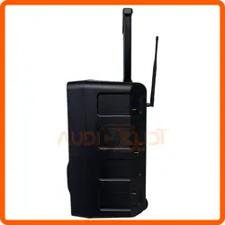 باند پرتابل 10 اینچ شارژی با میکروفن بیسیم  TIGER مدل EV10