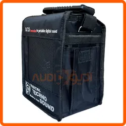 اکو همراه 5 اینچ با میکروفن بی سیم دستی و هدمیک تکنوساند TS60RECWHB