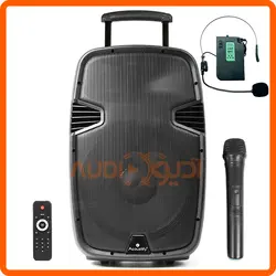 باند شارژی 15 اینچ با دو میکروفن بی سیم ACOUSTIFY PRO15
