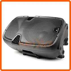 باند شارژی 15 اینچ با دو میکروفن بی سیم ACOUSTIFY PRO15